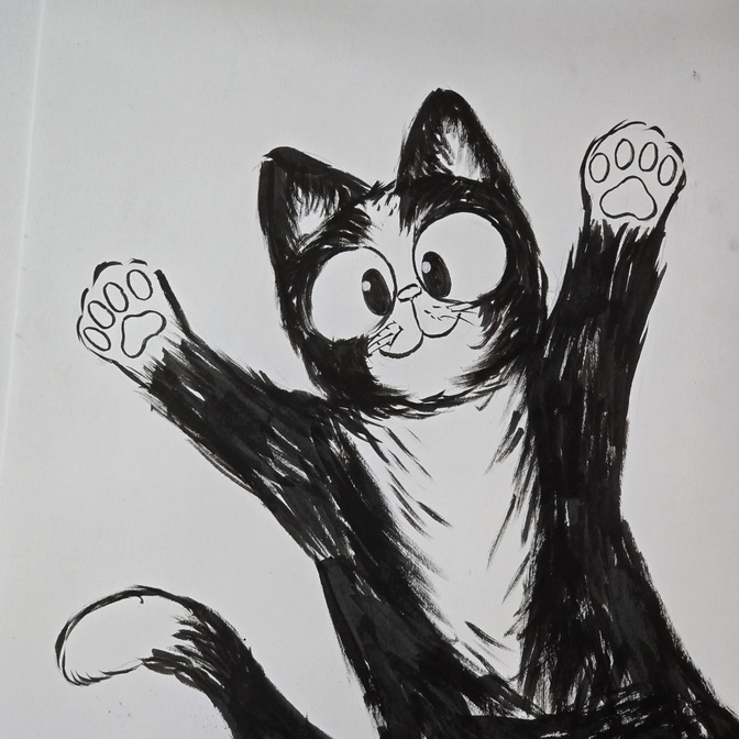 "Tuxedo Cat"