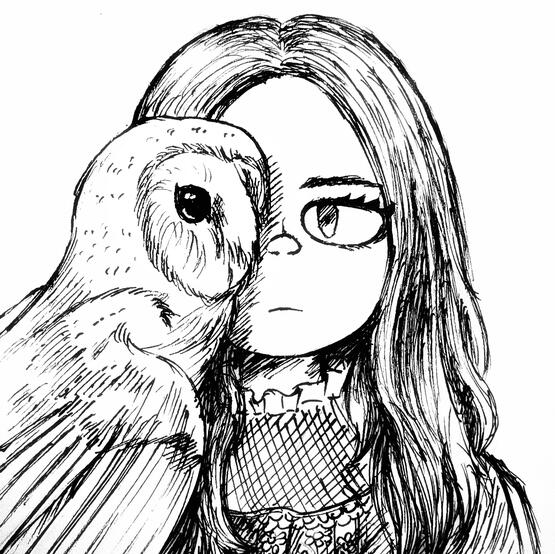 "Barn Owl"