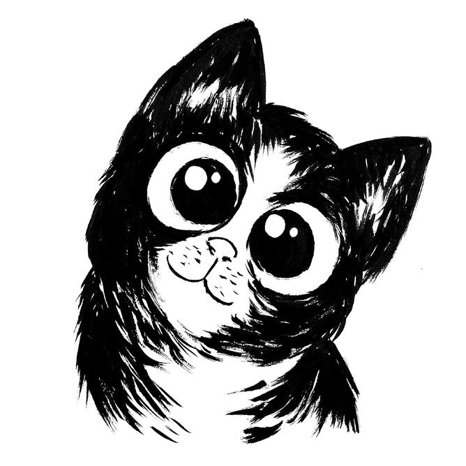 "Silly Cat"